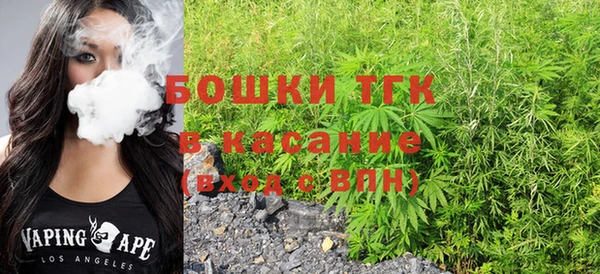 дурь Краснослободск