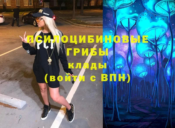 дурь Краснослободск