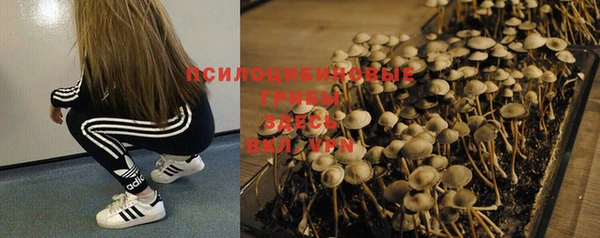 молекула духа Краснотурьинск