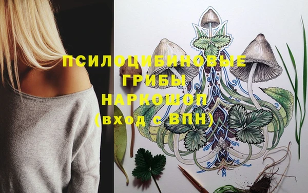 дурь Краснослободск