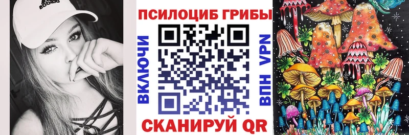 Галлюциногенные грибы прущие грибы  Купить закладки  Зея 